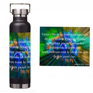 Gourdes isothermes en acier inoxydable