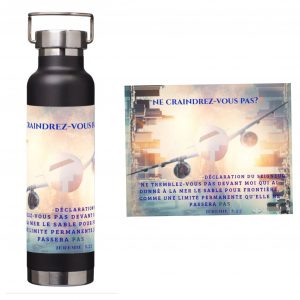 Gourdes isothermes en acier inoxydable