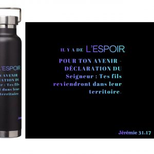 Gourdes isothermes en acier inoxydable