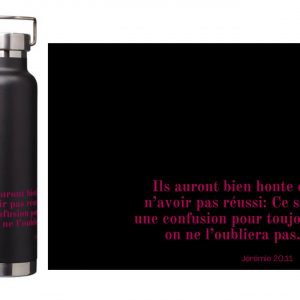 Gourdes isothermes en acier inoxydable