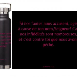 Gourdes isothermes en acier inoxydable