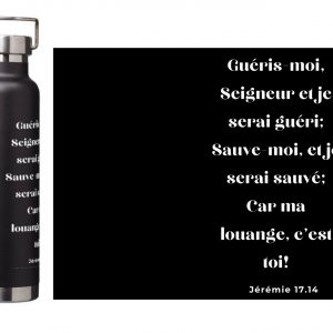 Gourdes isothermes en acier inoxydable