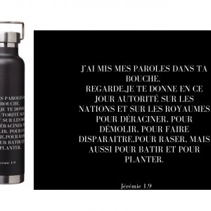 Gourdes isothermes en acier inoxydable