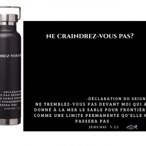 Gourdes isothermes en acier inoxydable