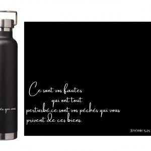 Gourdes isothermes en acier inoxydable