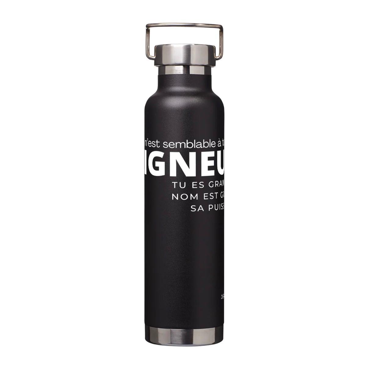 Gourdes isothermes en acier inoxydable